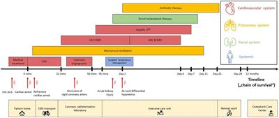 Case report: Refractory cardiac arrest supported with veno-arterial-venous extracorporeal membrane oxygenation and left-ventricular Impella CP®–Physiological insights and pitfalls of ECMELLA